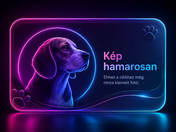 Kép hamarosan