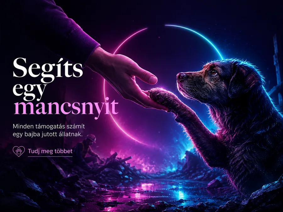 Segíts egy mancsnyit