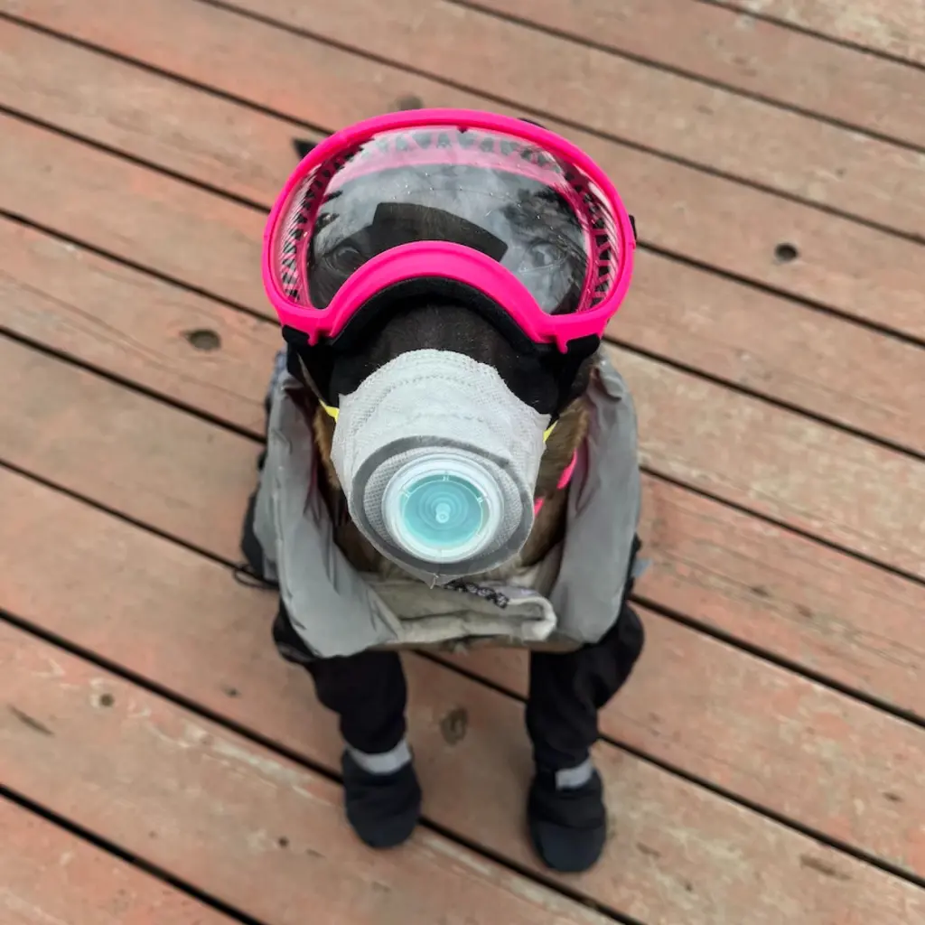 1070502658452532 scientists alaska volcano 102875831