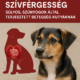 60767c63-05de-43c2-8417-fee981fcf52b