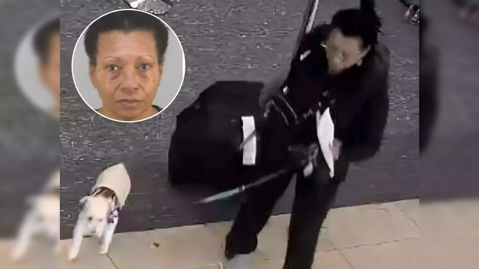 woman allegedly drowns dog at airport after being denied boarding worker discovers lifeless pet in dumpster