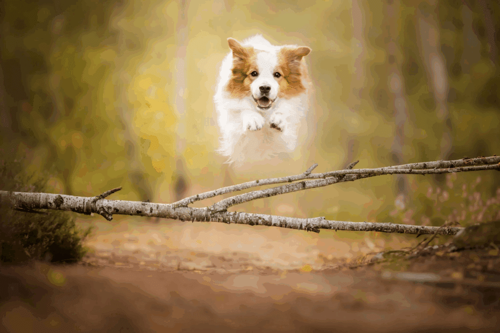 AZ24 Portfolio Gallery 14