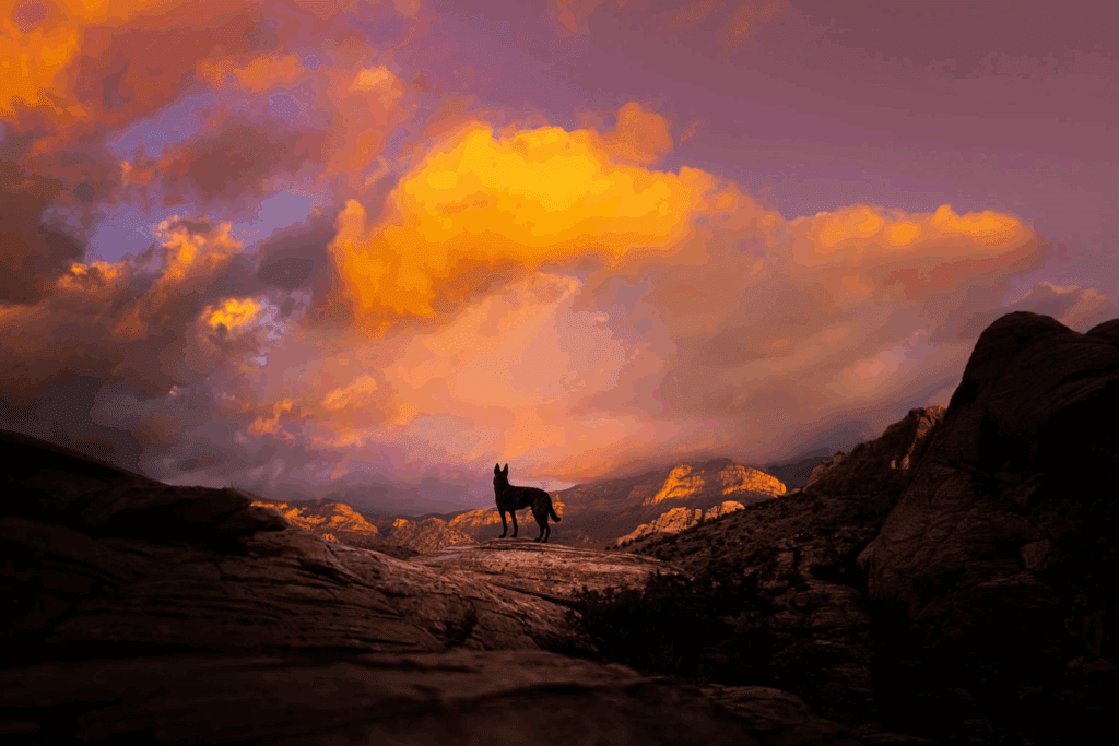 AZ24 Portfolio Gallery 5