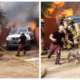 QT-dog-saved