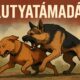 kutyatamadas_illusztracio