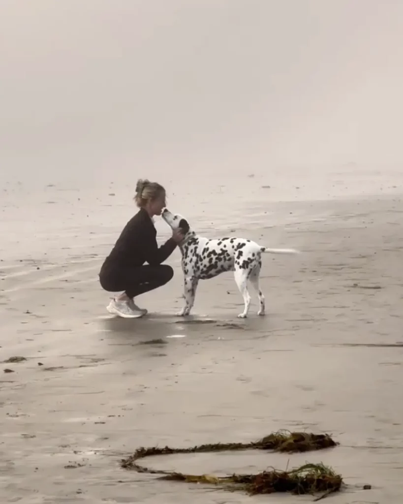 A környék legéhesebb vendége: egy dalmata, aki mindig tudja, hol fő a vacsora 1 scale 19