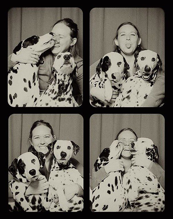 schattig honden in photobooth 1