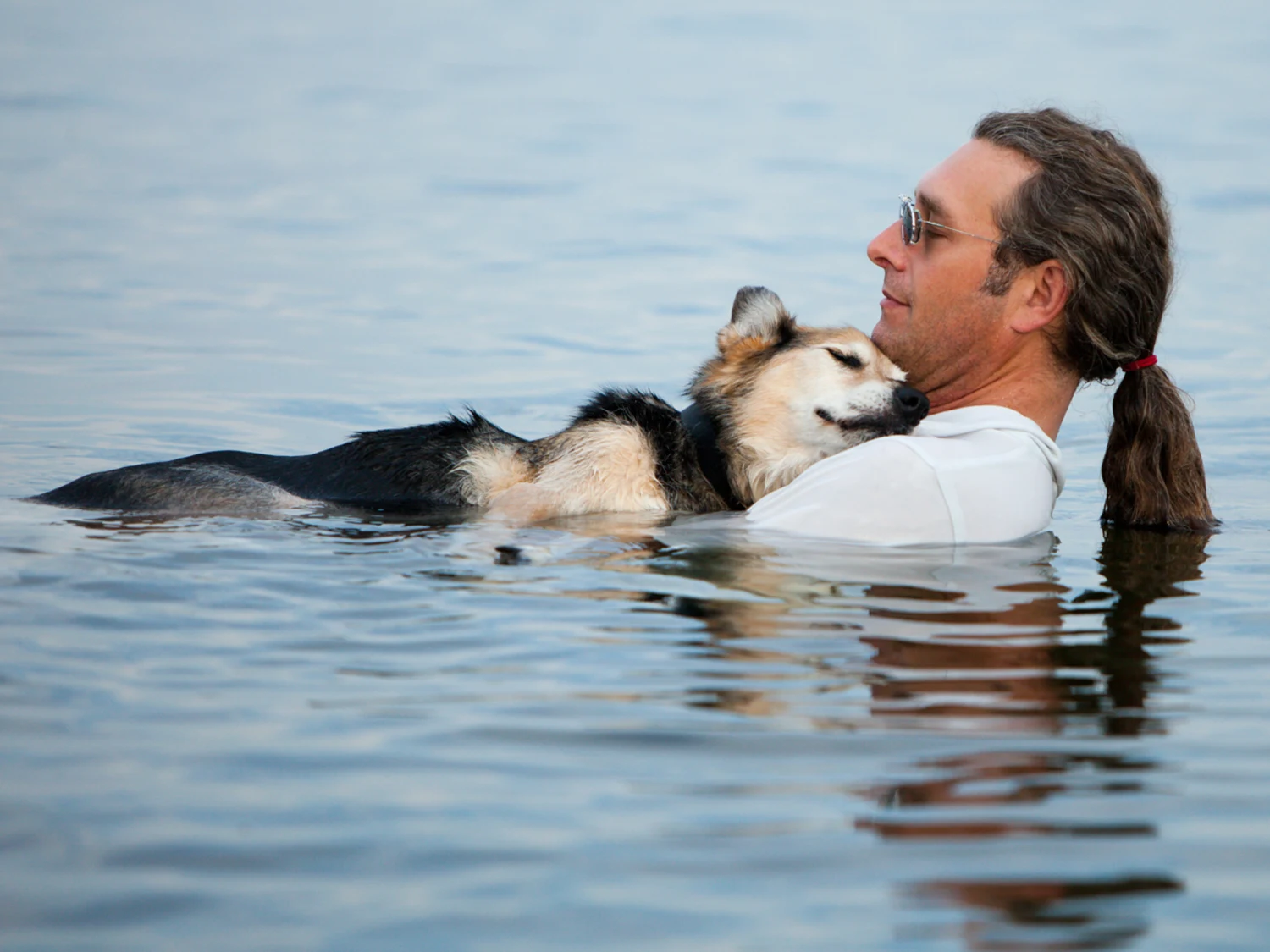 386742 tdy 120809 dog therapy 01