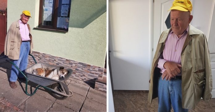 egy idos roman ferfi talicskaban tolta el beteg kutyajat az allatorvoshoz 696x364 1