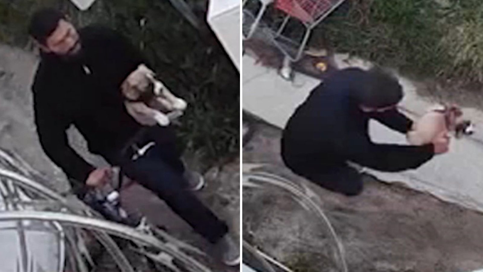 14643387 anaheim dog abuse split TN img