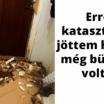 16 alkalom amikor a gazdik magara hagytak a hazi kedvencuket de mar ezerszer megbantak