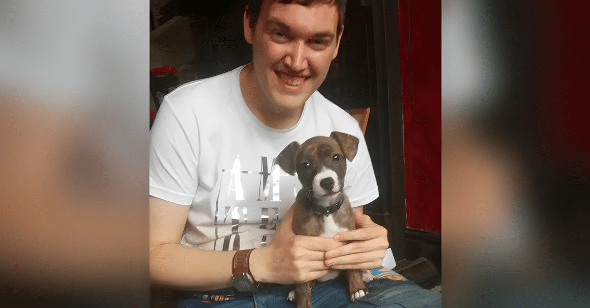 Az ejszaka kozepen a pitbull felebreszti a terhes lanyt.jpg