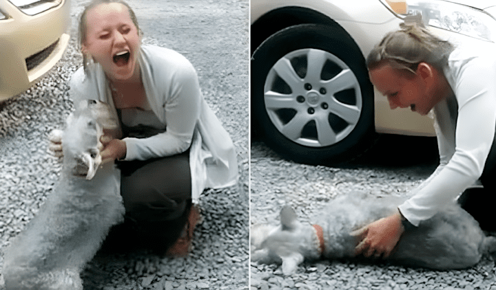 Casey Schnauzer pass out screenshot Rebecca Sventina