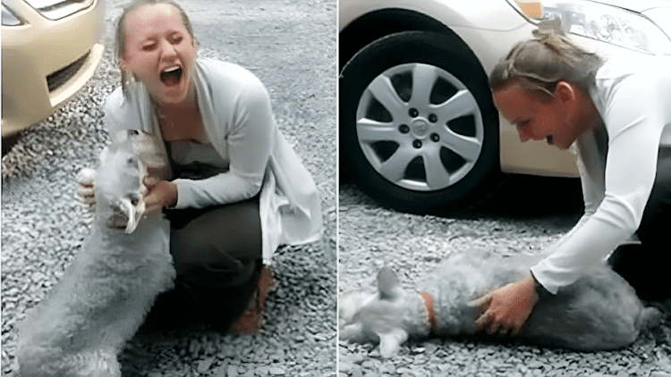 Casey Schnauzer pass out screenshot Rebecca Sventina