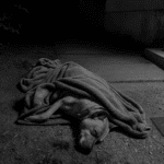 ChatGPT Image 2025. aug. 23. 16 29 12