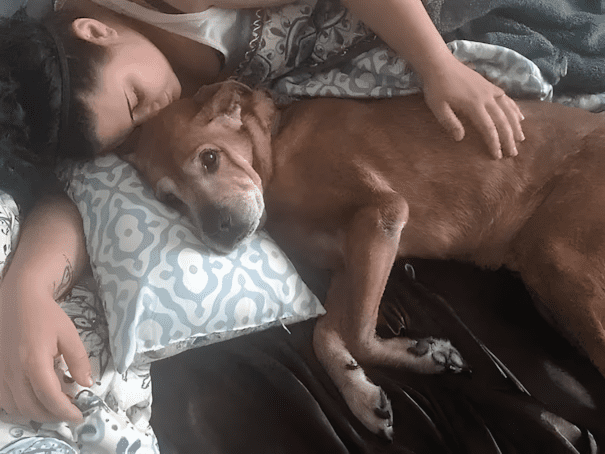 Rocky, aki még elbúcsúzhatott – megható búcsú egy hűséges baráttól 5 Megerte meg gyerekuk szuleteset a par orokbefogadott 17 eves kutyusa5.jpg 1