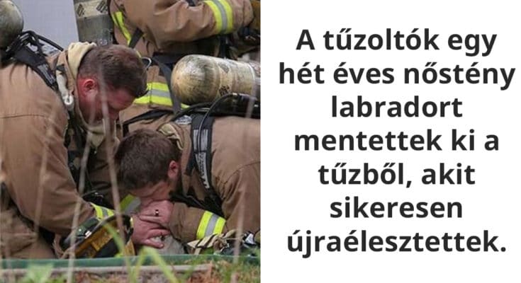 A hősök köztünk élnek