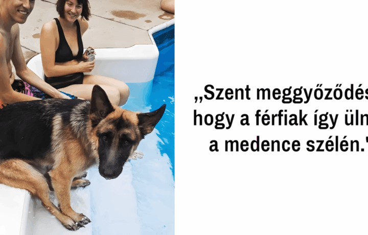 a haziallatok naprol napra jobban hasonlitanak a gazdaikra.jpg