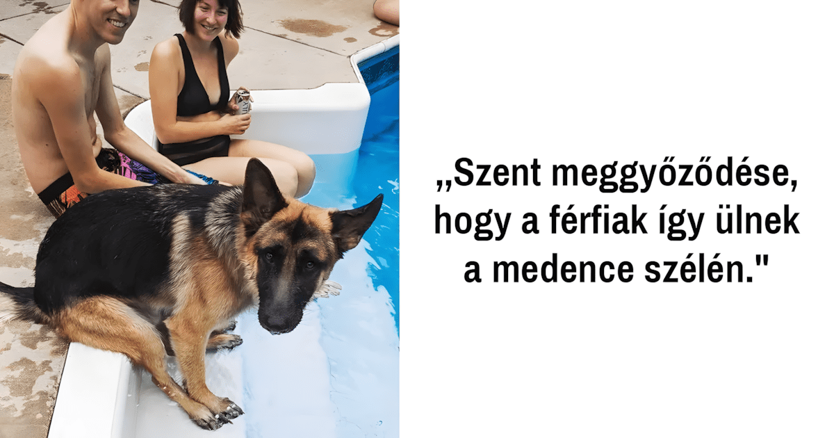 a haziallatok naprol napra jobban hasonlitanak a gazdaikra.jpg