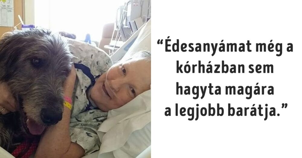 Ember és állat közötti kapcsolatot bemutató fotók