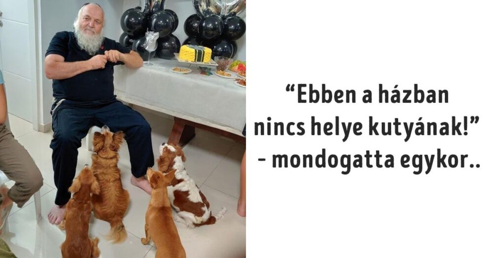 Kiskedvenc, aki belopta magát a szívünkbe
