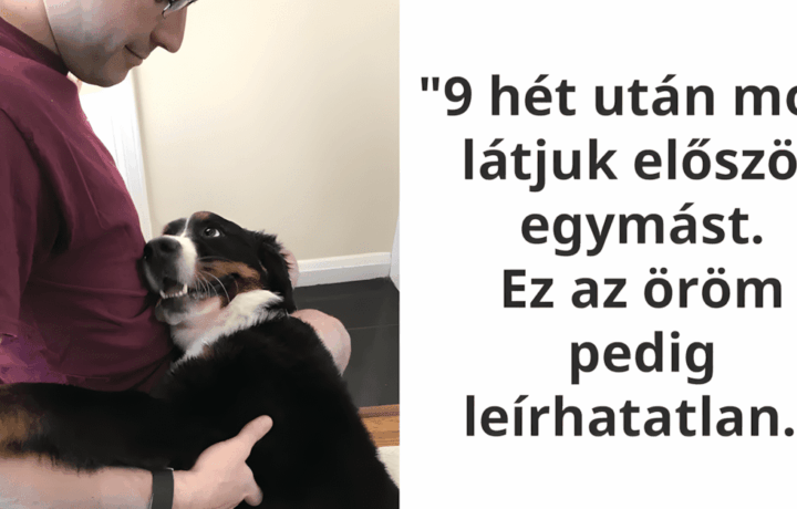az allatok husege es szeretete nem ismer hatarokat.jpg