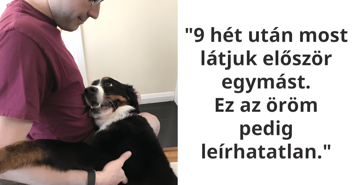 az allatok husege es szeretete nem ismer hatarokat.jpg