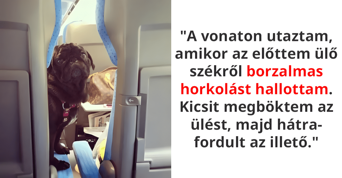 ezek az allatok bearanyozzak a napod.jpg
