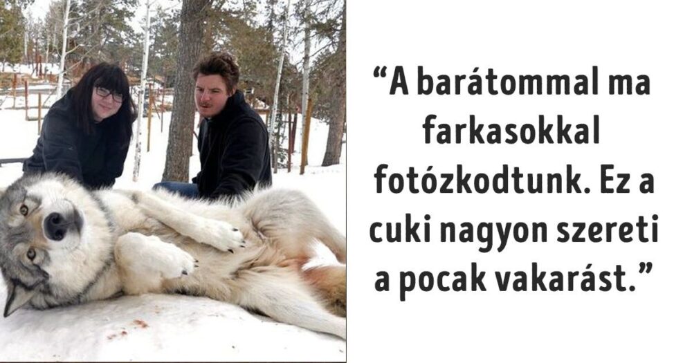 Cuki farkas pocak vakarással