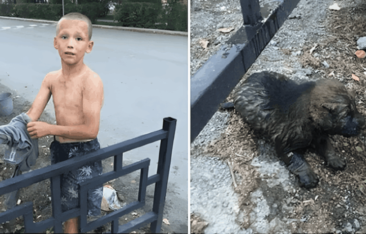 fiu mentette meg a kutya eletet3.jpg