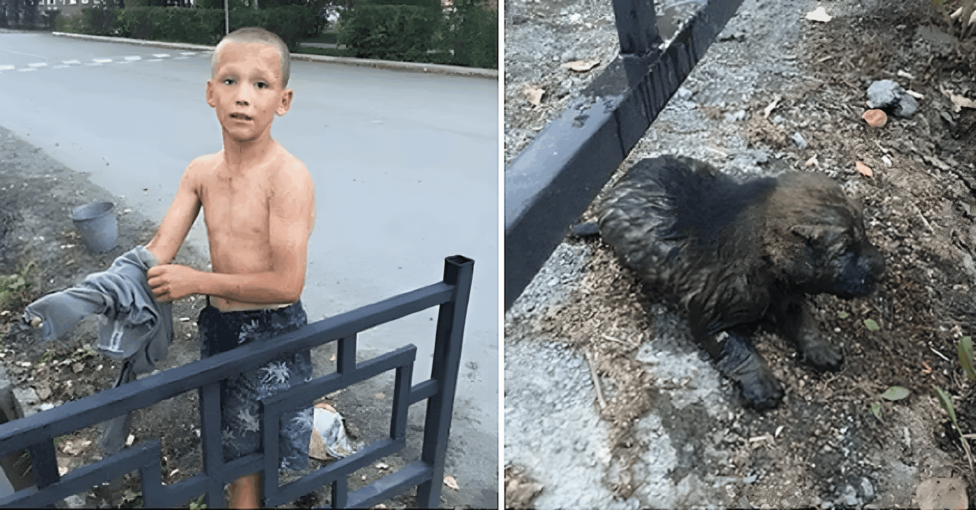 fiu mentette meg a kutya eletet3.jpg