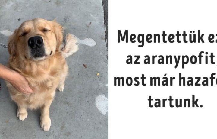 emberek segítettek az állatokon