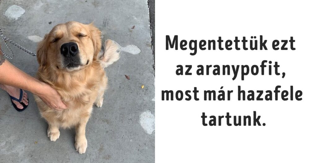 emberek segítettek az állatokon