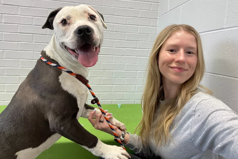 Ladybug, a rettegő menhelyi kutya, aki reszketett minden ember közeledtére – ma már boldogan él új családjával 3 ladybug rescue dog