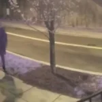 man and dog