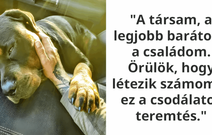 szivmelengeto allatos fotok.jpg