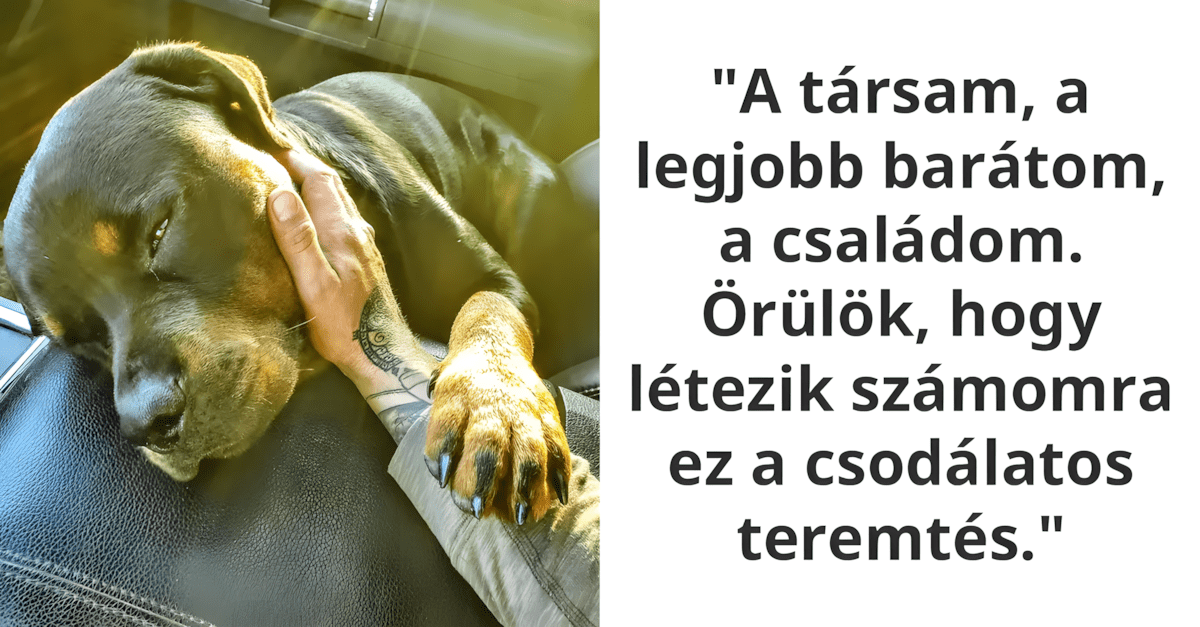 szivmelengeto allatos fotok.jpg