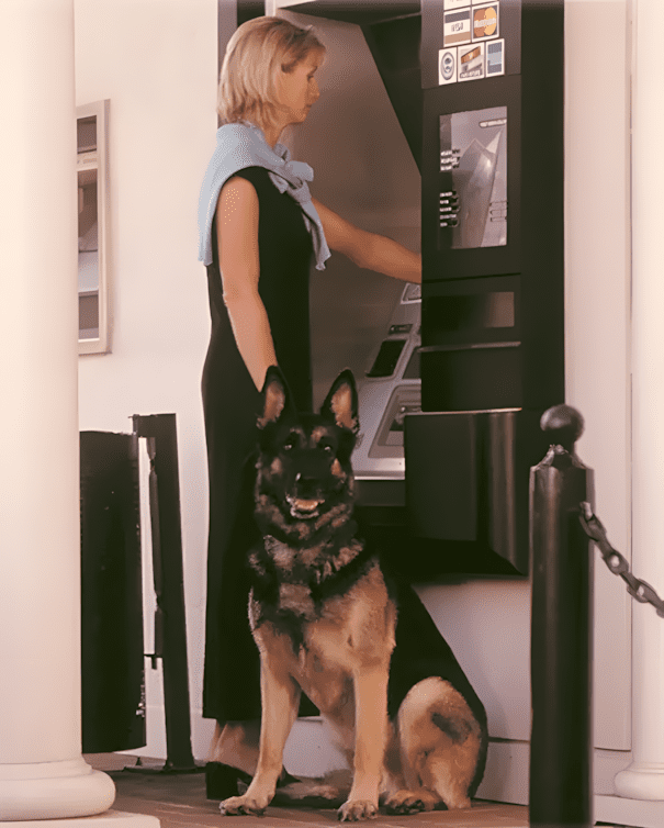 Amikor a kutya a testőröd: ATM-es védelem a legmenőbb módon 12 vedelmezo kutyak12.jpg 1
