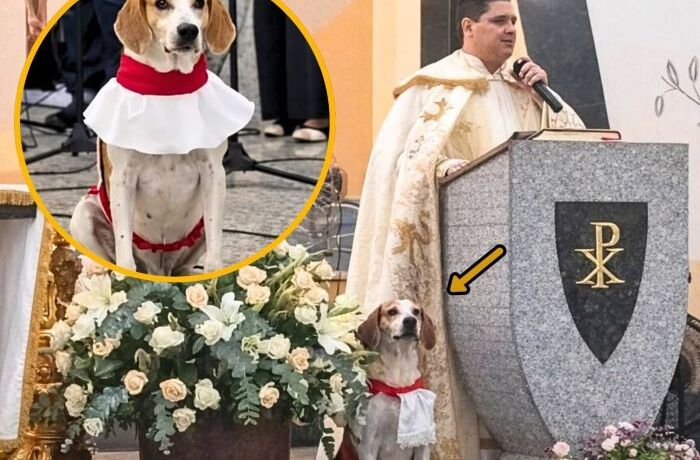 625159749