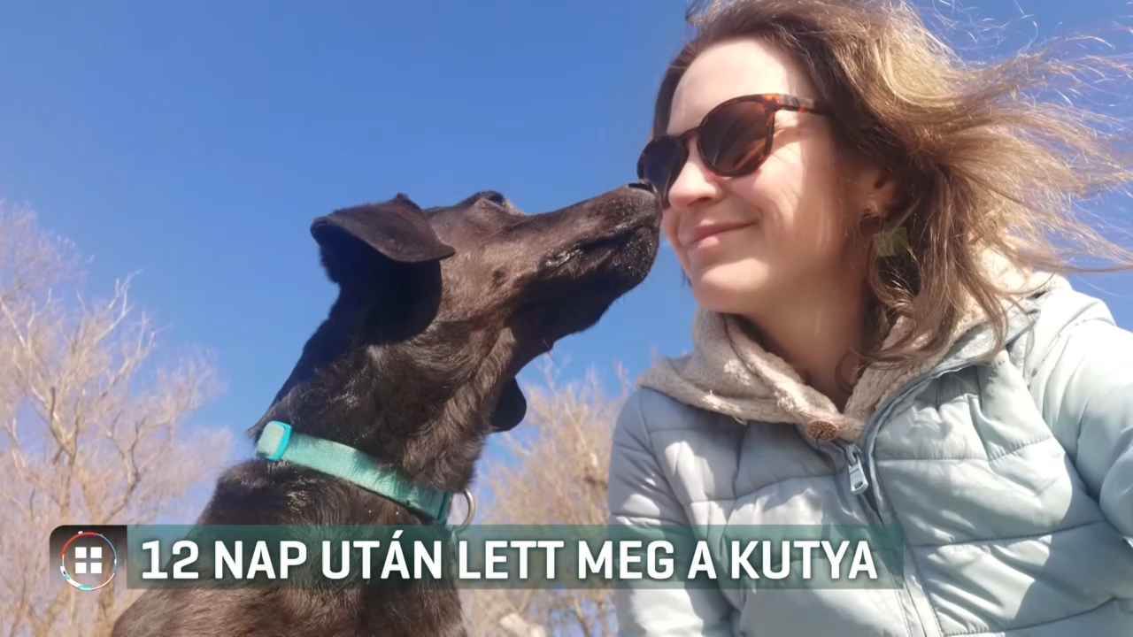 12 nap utan mentettek ki egy eltunt kutyat egy dunai szigetrol a halorok bukkantak a nyomara image a54c3c4c5732c8b541ca7fb9199c