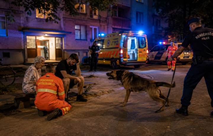 Saját gazdájára támadt egy kutya Csepelen – két embert kórházba vittek, az állat később meghalt 2 ChatGPT Image 2026. aug. 8. 17 32 49