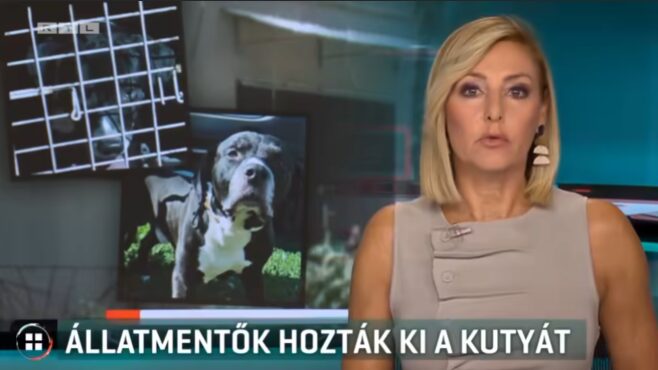 Kepernyokep 2026 08 05 193902