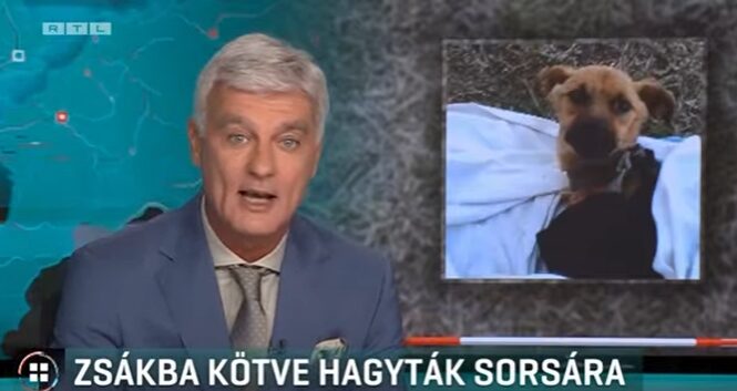 Kepernyokep 2026 08 05 194156