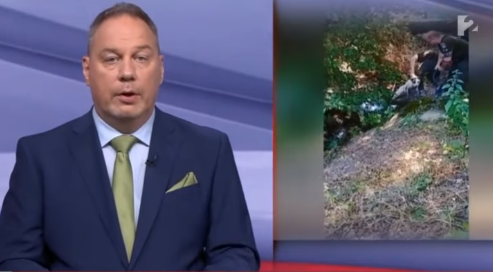 Fához kötözve hagyták a tűző napon – meghalt a Miskolcon talált kutya 1 Kepernyokep 2026 08 06 213628