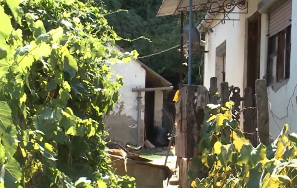 Saját kutyája mart halálra egy idős férfit Gödrön – egy szerencsétlen elesés előzhette meg a tragédiát 1 cb5c049303d0dc6e95a70b8f0c30801c 1024x650 1