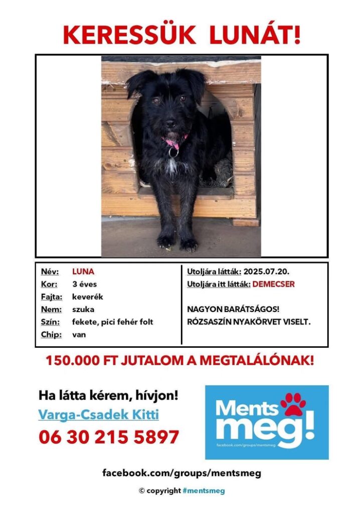 luna pontosan egy evvel ezelott tunt el