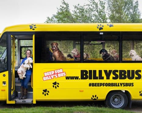 Sárga Billy's Bus kutyákkal és a sofőrrel Leeds környékén