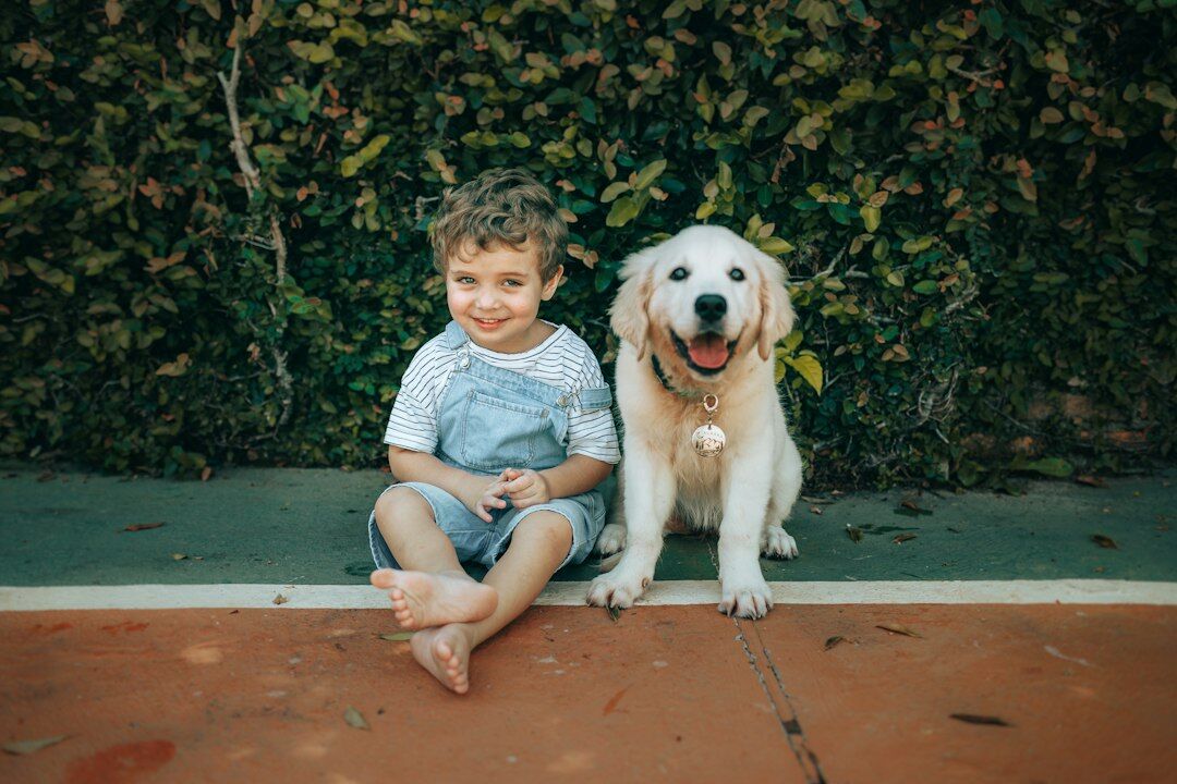 Gyerek és golden retriever kölyök együtt