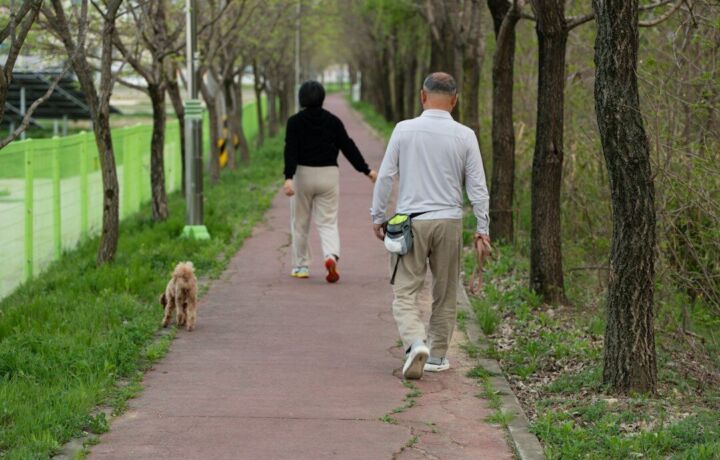 Kisfiút harapott meg egy kutya Zebegényben – ezt kell tudnia minden gazdinak ilyen esetben 2 Gazdik pórázon sétáltatnak egy kutyát a parkban